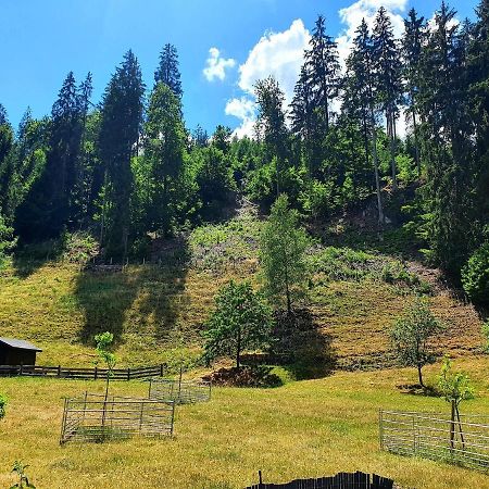 Ferienwohnung Bei Vogel Geroldsgrun Exteriör bild